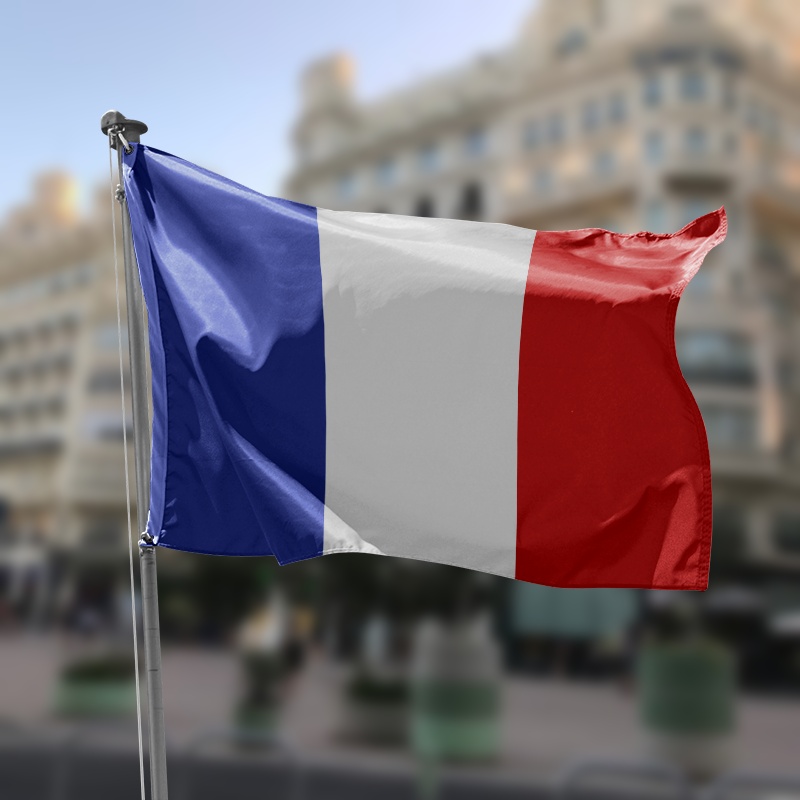 erasmus francia