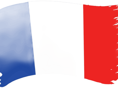 PRUEBA NIVEL FRANCÉS
